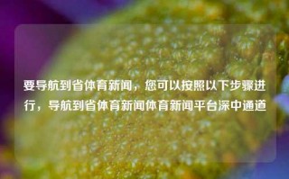 要导航到省体育新闻，您可以按照以下步骤进行，导航到省体育新闻体育新闻平台深中通道