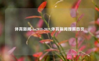 体育新闻cbn2018-2019,体育新闻搜狐首页