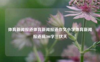 体育新闻报道体育新闻报道作文小学体育新闻报道稿200字三伏天