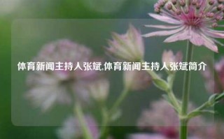 体育新闻主持人张斌,体育新闻主持人张斌简介