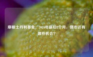 摩根士丹利基金：2024年最后2个月，债市还有哪些机会？