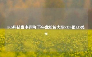 BOS科技盘中异动 下午盘股价大涨5.33%报3.15美元