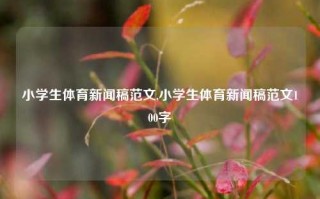 小学生体育新闻稿范文,小学生体育新闻稿范文100字