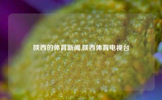 陕西的体育新闻,陕西体育电视台