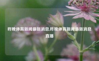 昨晚体育新闻最新消息,昨晚体育新闻最新消息直播