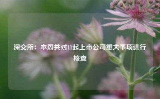 深交所：本周共对11起上市公司重大事项进行核查