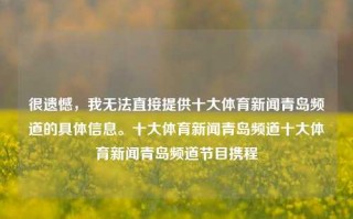 很遗憾，我无法直接提供十大体育新闻青岛频道的具体信息。十大体育新闻青岛频道十大体育新闻青岛频道节目携程