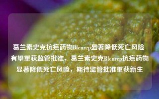 葛兰素史克抗癌药物Blenrep显著降低死亡风险 有望重获监管批准，葛兰素史克Blenrep抗癌药物显著降低死亡风险，期待监管批准重获新生