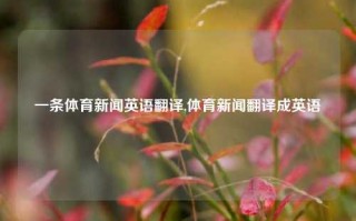 一条体育新闻英语翻译,体育新闻翻译成英语