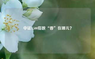 中证A500指数“香”在哪儿？