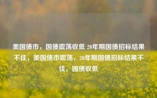 美国债市，国债震荡收低 20年期国债招标结果不佳，美国债市震荡，20年期国债招标结果不佳，国债收低