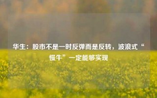 华生：股市不是一时反弹而是反转，波浪式“慢牛”一定能够实现