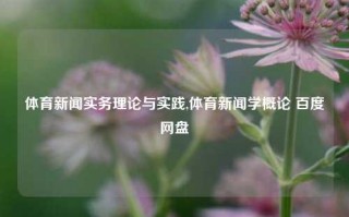 体育新闻实务理论与实践,体育新闻学概论 百度网盘