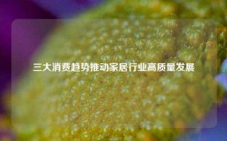 三大消费趋势推动家居行业高质量发展