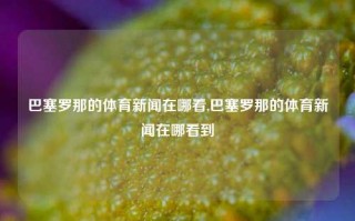 巴塞罗那的体育新闻在哪看,巴塞罗那的体育新闻在哪看到