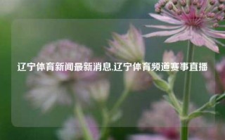 辽宁体育新闻最新消息,辽宁体育频道赛事直播