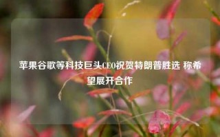 苹果谷歌等科技巨头CEO祝贺特朗普胜选 称希望展开合作