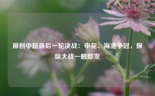 原创中超最后一轮决战：申花、海港争冠，保级大战一触即发