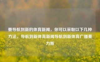 要导航到新的体育新闻，你可以采取以下几种方法，导航到新体育新闻导航到新体育广播赛力斯