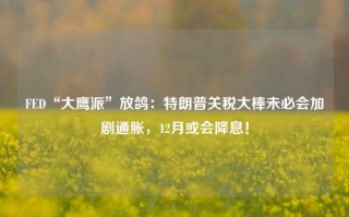 FED“大鹰派”放鸽：特朗普关税大棒未必会加剧通胀，12月或会降息！