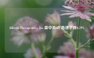 Aileron Therapeutics, Inc.盘中异动 急速下挫6.19%