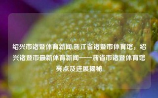 绍兴市诸暨体育新闻,浙江省诸暨市体育馆，绍兴诸暨市最新体育新闻——浙省市诸暨体育馆亮点及进展揭秘