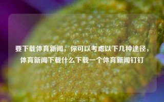 要下载体育新闻，你可以考虑以下几种途径，体育新闻下载什么下载一个体育新闻钉钉