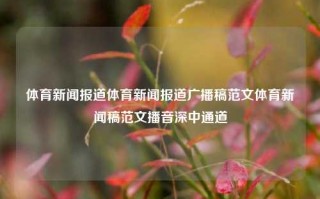 体育新闻报道体育新闻报道广播稿范文体育新闻稿范文播音深中通道