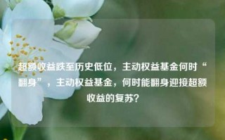 超额收益跌至历史低位，主动权益基金何时“翻身”，主动权益基金，何时能翻身迎接超额收益的复苏？