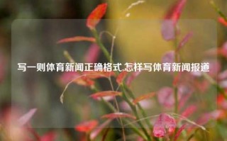 写一则体育新闻正确格式,怎样写体育新闻报道