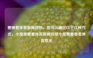 要观看体育新闻回放，您可以通过以下几种方式，小度我要看体育新闻回放小度我要要看体育默杀