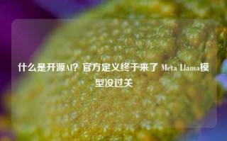 什么是开源AI？官方定义终于来了 Meta Llama模型没过关