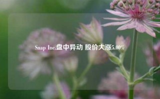 Snap Inc.盘中异动 股价大涨5.00%