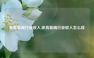 体育新闻行业收入,体育新闻行业收入怎么样