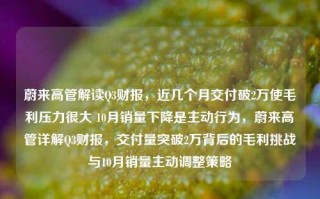 蔚来高管解读Q3财报，近几个月交付破2万使毛利压力很大 10月销量下降是主动行为，蔚来高管详解Q3财报，交付量突破2万背后的毛利挑战与10月销量主动调整策略