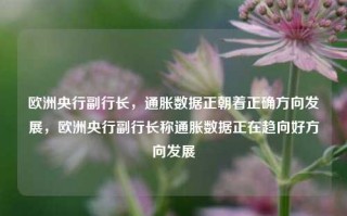 欧洲央行副行长，通胀数据正朝着正确方向发展，欧洲央行副行长称通胀数据正在趋向好方向发展