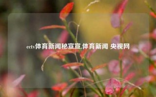 cctv体育新闻秘宣宣,体育新闻 央视网