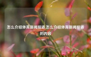 怎么介绍体育新闻报道,怎么介绍体育新闻报道的内容