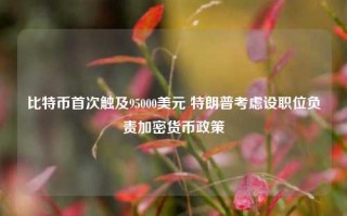 比特币首次触及95000美元 特朗普考虑设职位负责加密货币政策