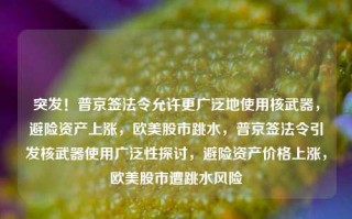 突发！普京签法令允许更广泛地使用核武器，避险资产上涨，欧美股市跳水，普京签法令引发核武器使用广泛性探讨，避险资产价格上涨，欧美股市遭跳水风险