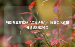 特朗普宣布任命“边境沙皇”，负责边境管控并遣返非法移民