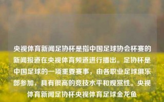 央视体育新闻足协杯是指中国足球协会杯赛的新闻报道在央视体育频道进行播出。足协杯是中国足球的一项重要赛事，由各职业足球俱乐部参加，具有很高的竞技水平和观赏性。央视体育新闻足协杯央视体育足球金龙鱼