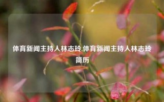 体育新闻主持人林志玲,体育新闻主持人林志玲简历