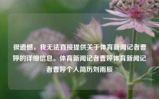 很遗憾，我无法直接提供关于体育新闻记者曹婷的详细信息。体育新闻记者曹婷体育新闻记者曹婷个人简历刘雨辰