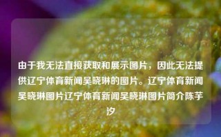 由于我无法直接获取和展示图片，因此无法提供辽宁体育新闻吴晓琳的图片。辽宁体育新闻吴晓琳图片辽宁体育新闻吴晓琳图片简介陈芋汐