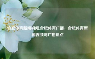 合肥体育新闻视频,合肥体育广播，合肥体育新闻视频与广播盘点