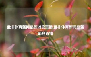 孟非体育新闻最新消息直播,孟非体育新闻最新消息直播