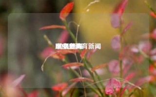 哪些是体育新闻
,优秀新闻
100条体育