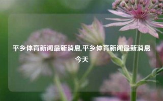 平乡体育新闻最新消息,平乡体育新闻最新消息今天