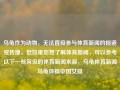 乌龟作为动物，无法直接参与体育新闻的报道或传播。但如果您想了解体育新闻，可以参考以下一些常见的体育新闻来源，乌龟体育新闻乌龟体操中国女排